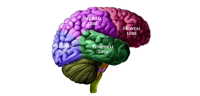 The Role of Neurotechnology in Brain Health: Diagnosis and Treatment of Mental Illnesses